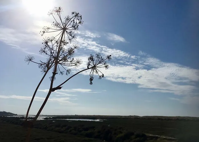 公寓 Victory Village Sea Views *